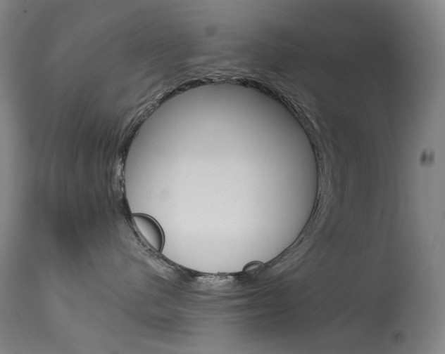 X0000114130480200910081007