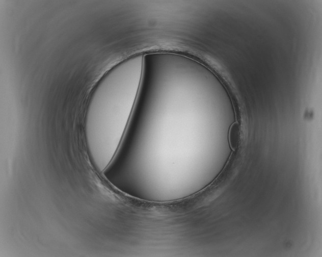 X0000114130481200910081006