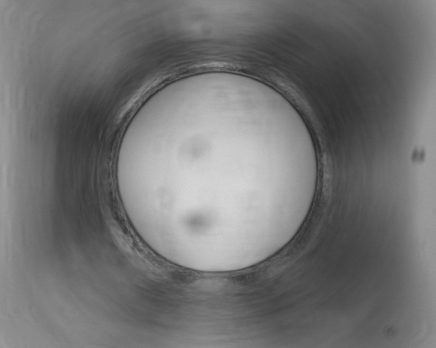 X0000114130482200910081006