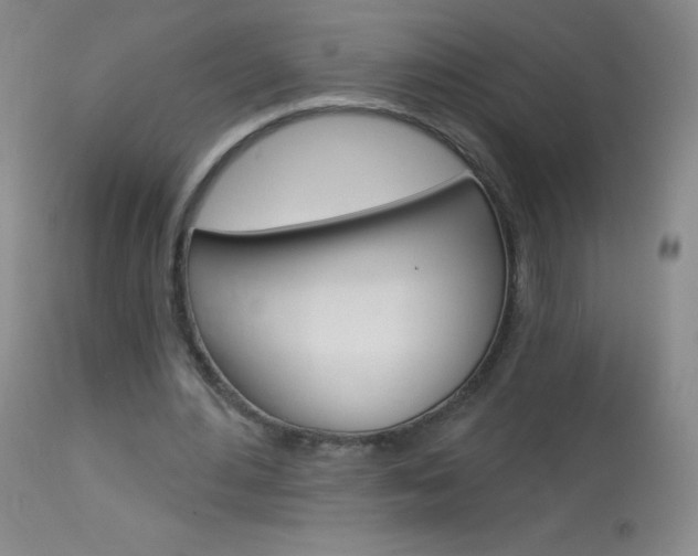 X0000114130484200910081006