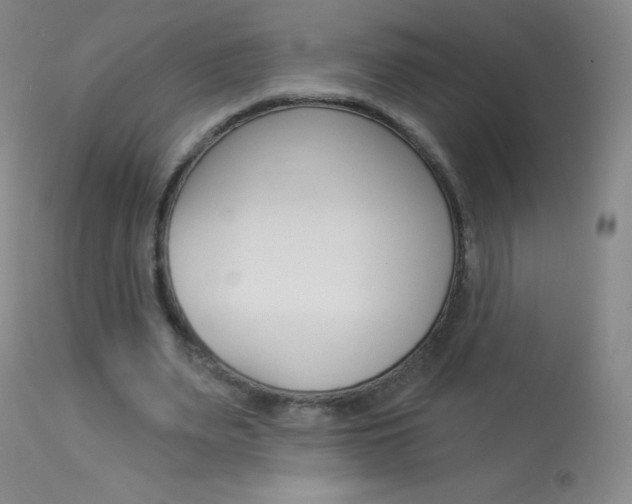 X0000114130487200910081006