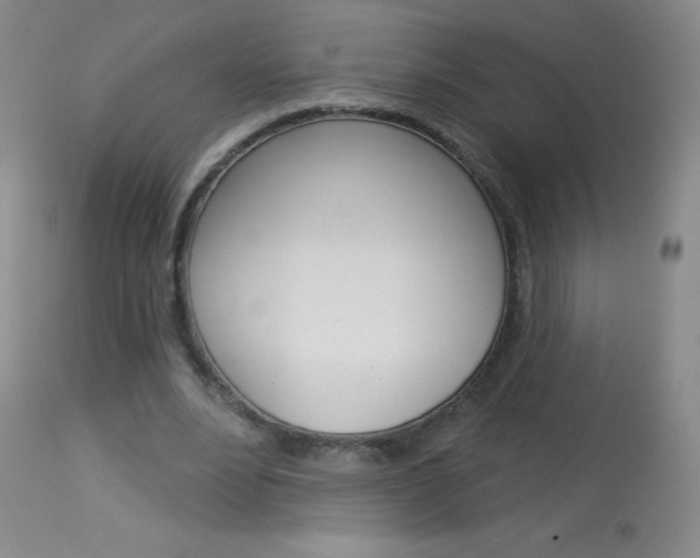 X0000114130488200910081006