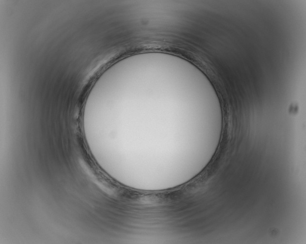 X0000114130490200910081006