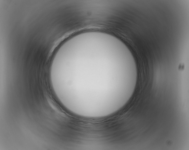 X0000114130492200910081006