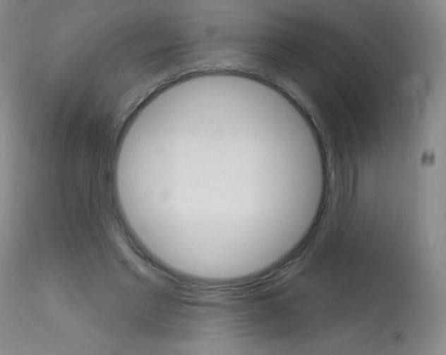 X0000114130493200910081006