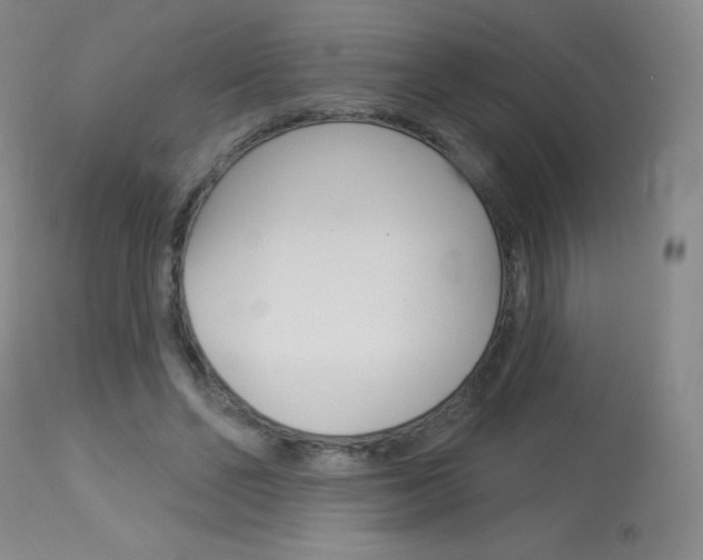 X0000114130494200910081006