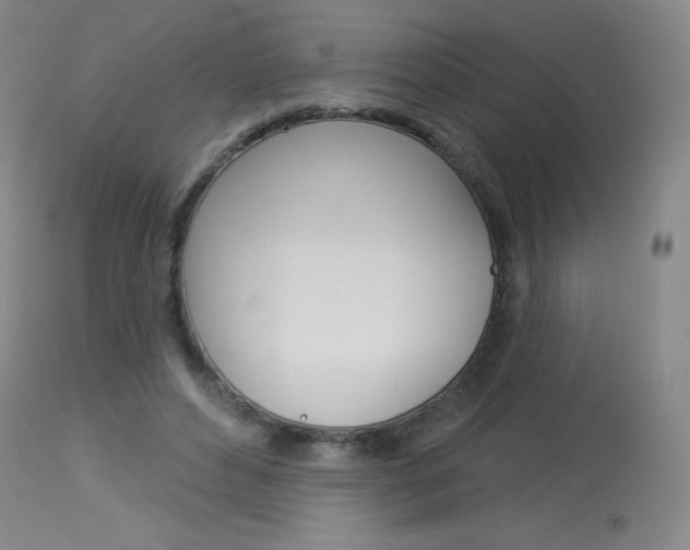 X0000114130496200910081006