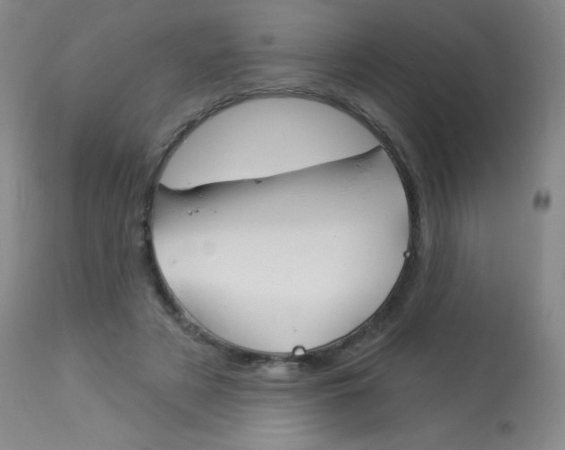 X0000114130497200910081006