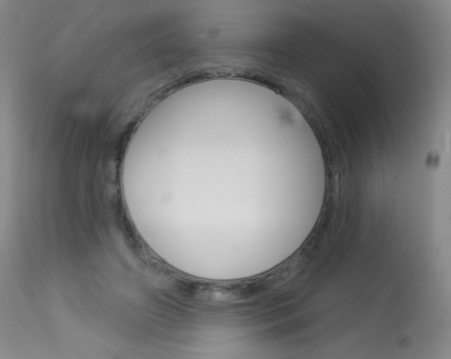 X0000114130498200910081006