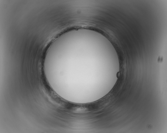 X0000114130500200910081006