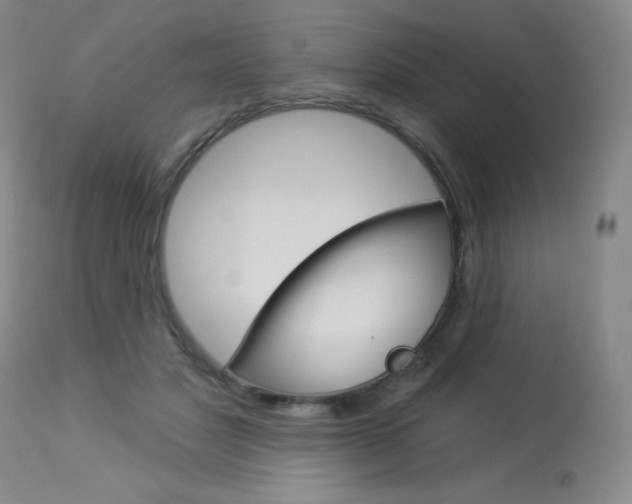 X0000114130501200910081006