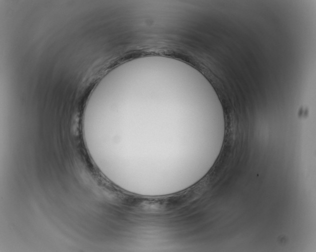X0000114130502200910081006