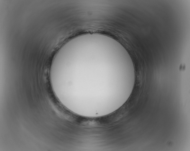 X0000114130503200910081006