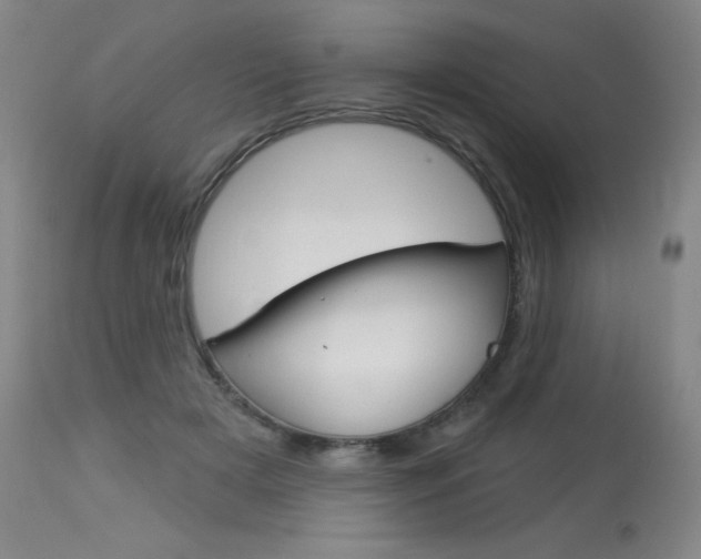 X0000114130505200910081006