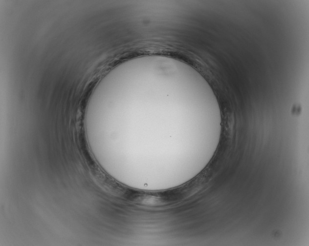 X0000114130507200910081006