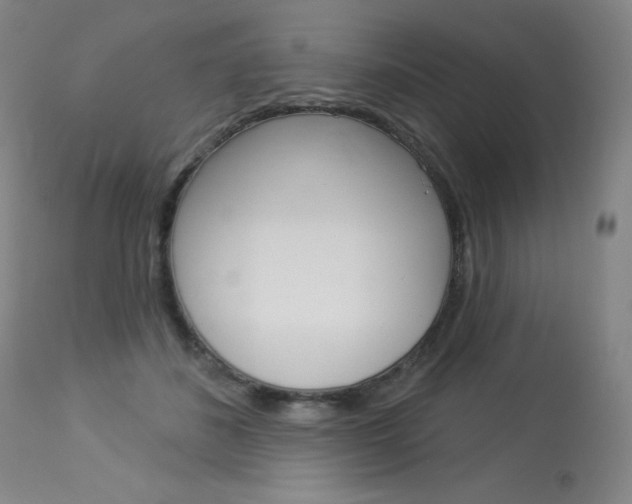 X0000114130508200910081006