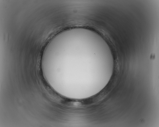 X0000114130509200910081006