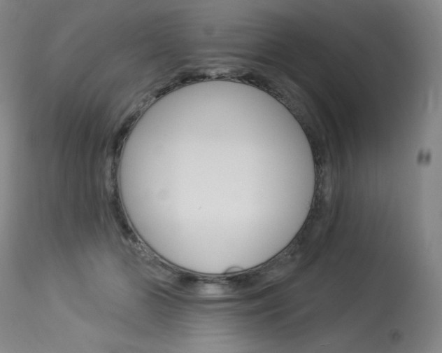 X0000114130510200910081006