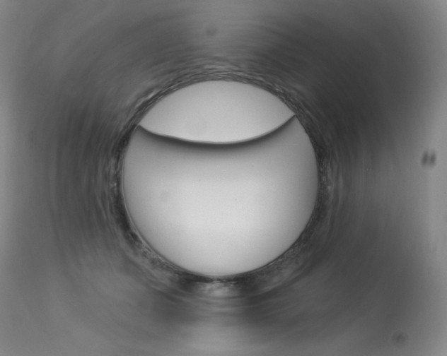 X0000114130511200910081006