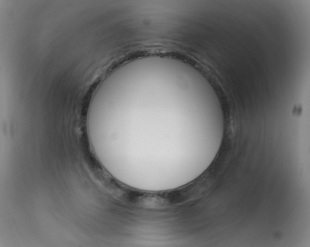 X0000114130512200910081006