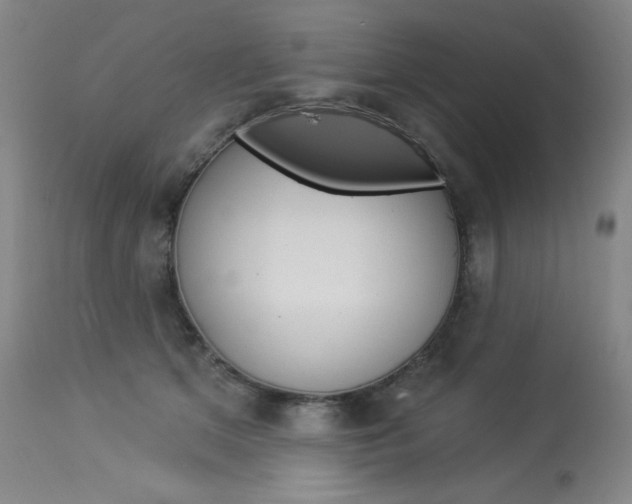 X0000114130513200910081006