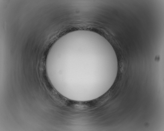 X0000114130515200910081005
