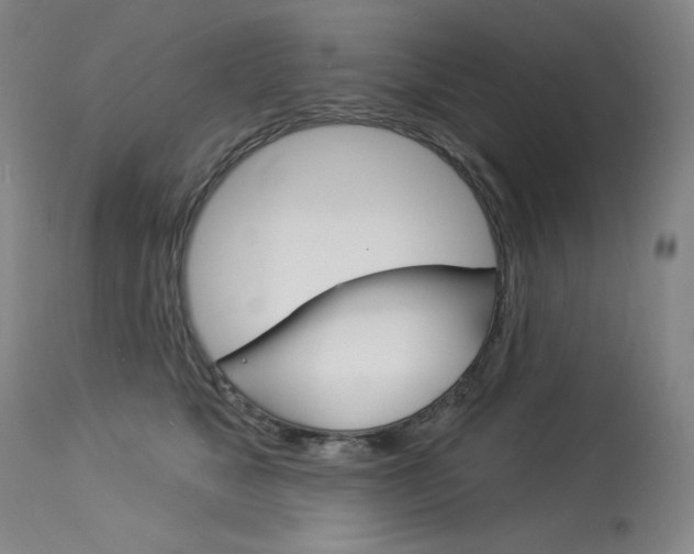X0000114130517200910081005