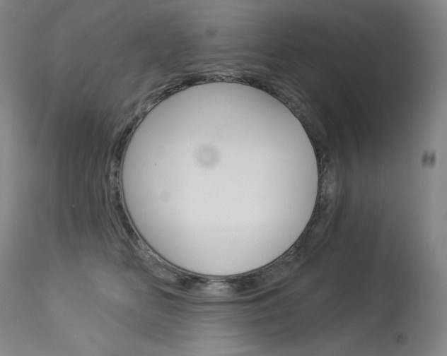 X0000114130518200910081005