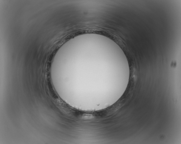 X0000114130519200910081005