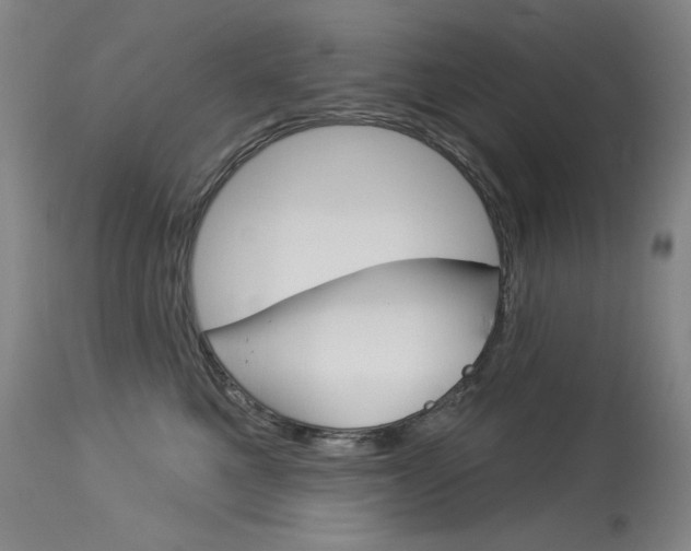 X0000114130521200910081005