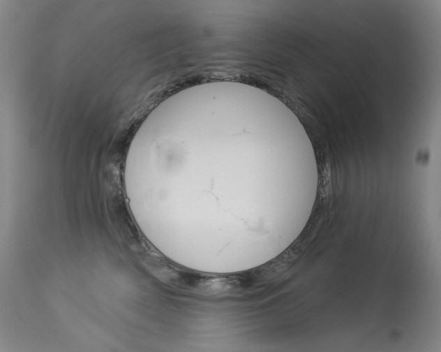 X0000114130522200910081005
