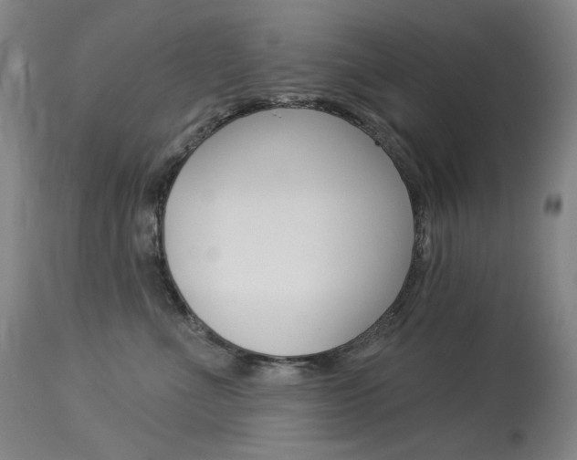 X0000114130523200910081005
