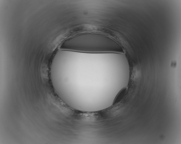X0000114130524200910081005
