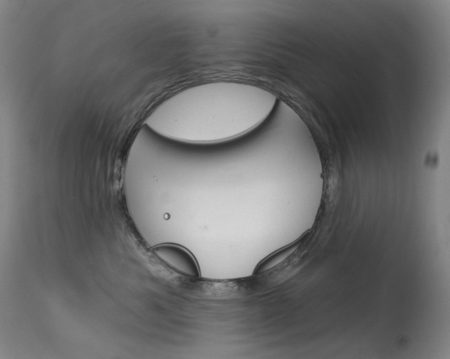 X0000114130525200910081005