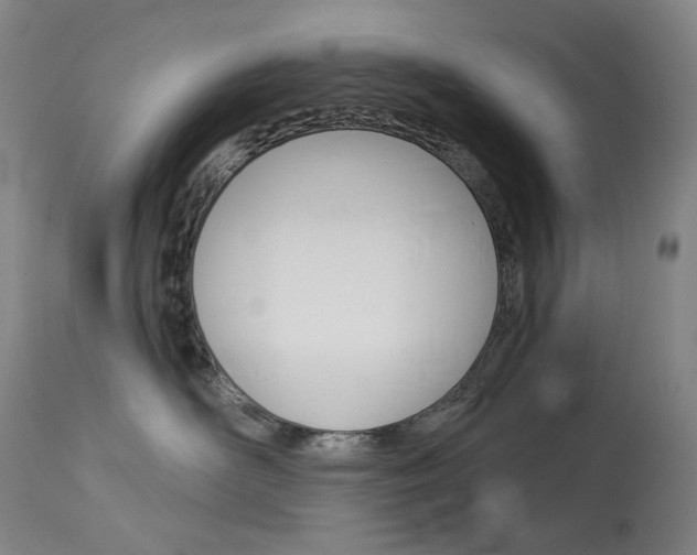 X0000114130526200910081005