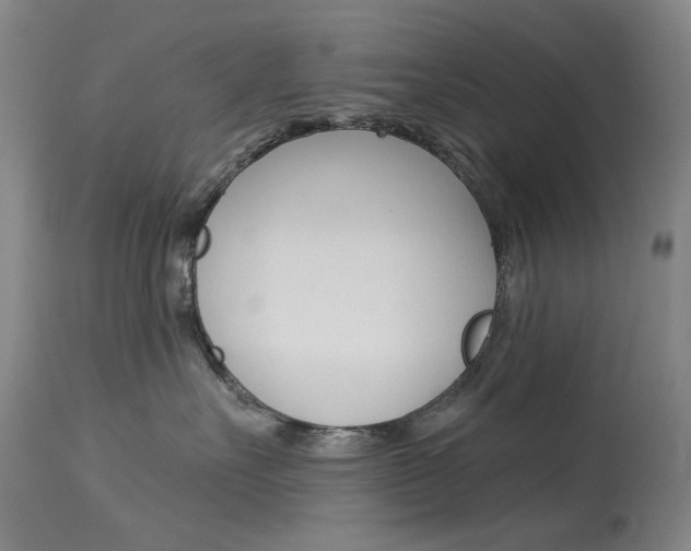 X0000114130527200910081005