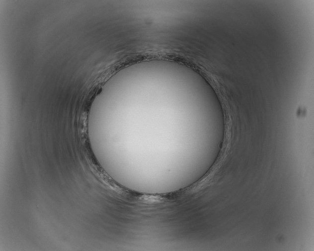 X0000114130528200910081005