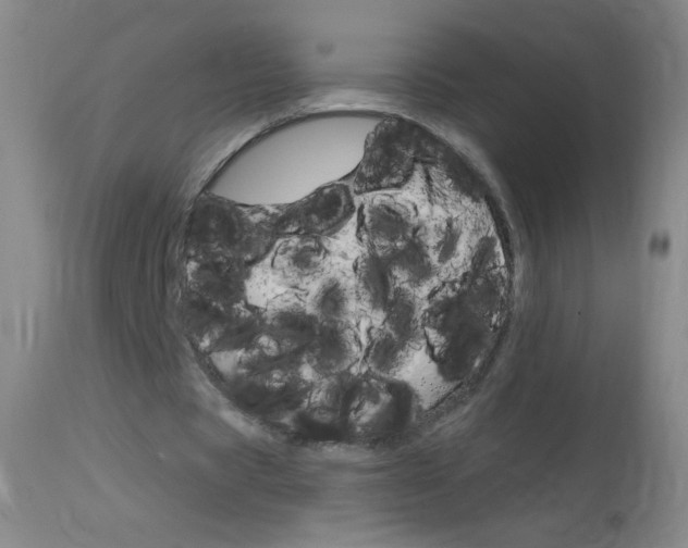 X0000114130529200910081005