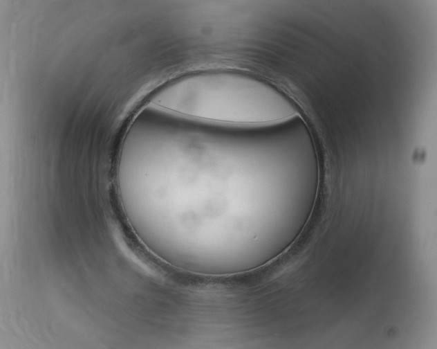 X0000114130530200910081005