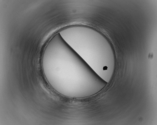 X0000114130531200910081005