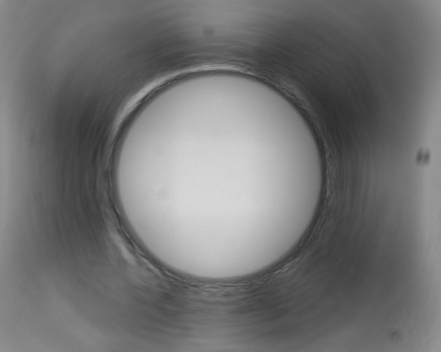 X0000114130532200910081005