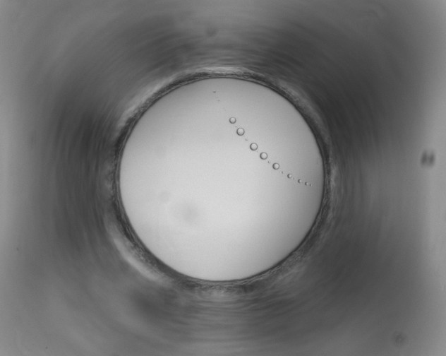 X0000114130533200910081005