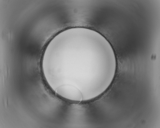 X0000114130534200910081005