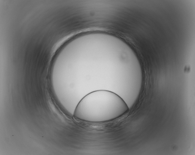X0000114130536200910081005
