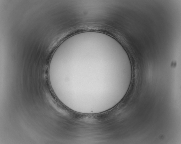 X0000114130537200910081005
