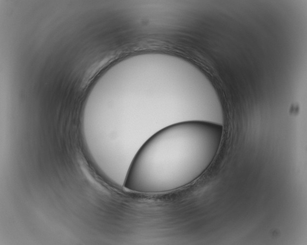 X0000114130538200910081005