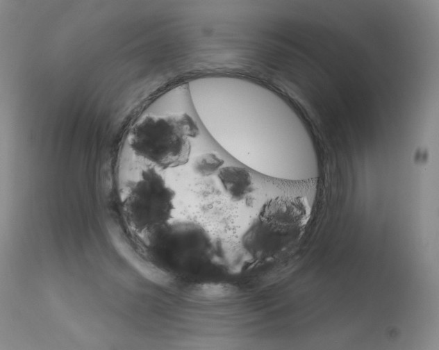 X0000114130541200910081005