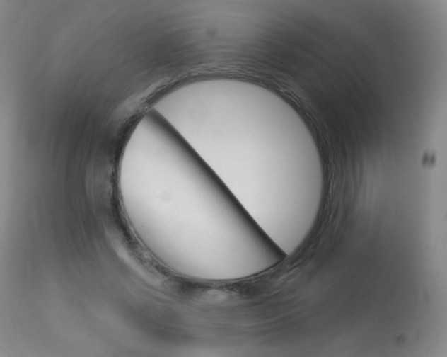 X0000114130542200910081005