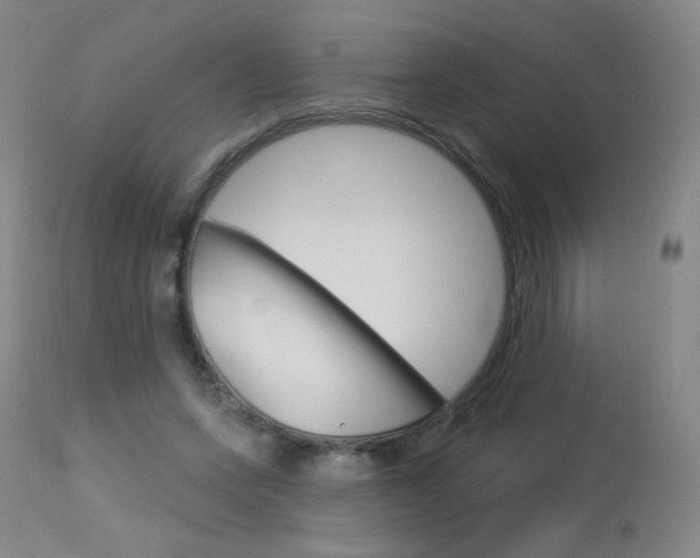 X0000114130543200910081005