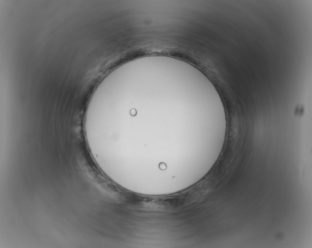 X0000114130545200910081005